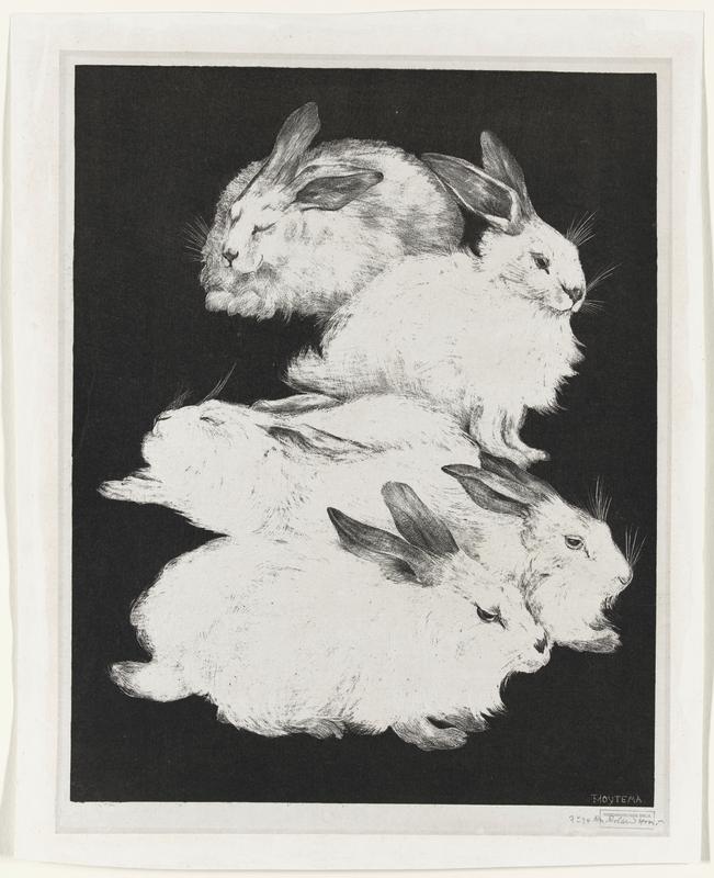 Vijf Angorakonijnen (Five Angora Rabbits)